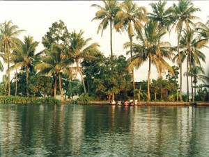 Backwaters beautiful view