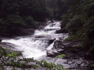 Kozhippara falls