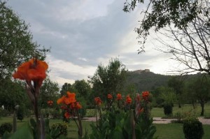 Garden of Char Minar, Srinagar