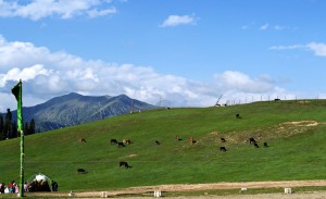 Gurez Valley, Srinagar