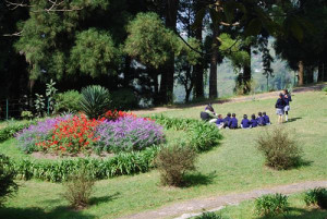 Lloyd Botanical Garden.in Darjeeling