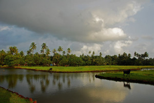 Siolim-goa