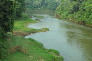 Achankovil River in Pattanamthitta