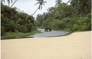 bombolin beach goa