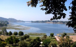 Manasbal lake,Srinagar