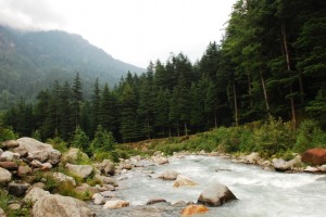 nature-park-manali-manalsu-river