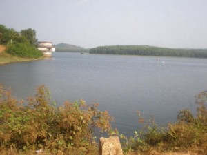 Pazhassi dam reservior