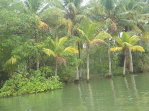 Poovar Island Thiruvanathapuram Kerla