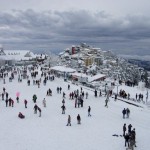 Shimla Sightseeing