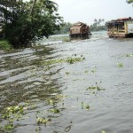 Alappuzha Sightseeing