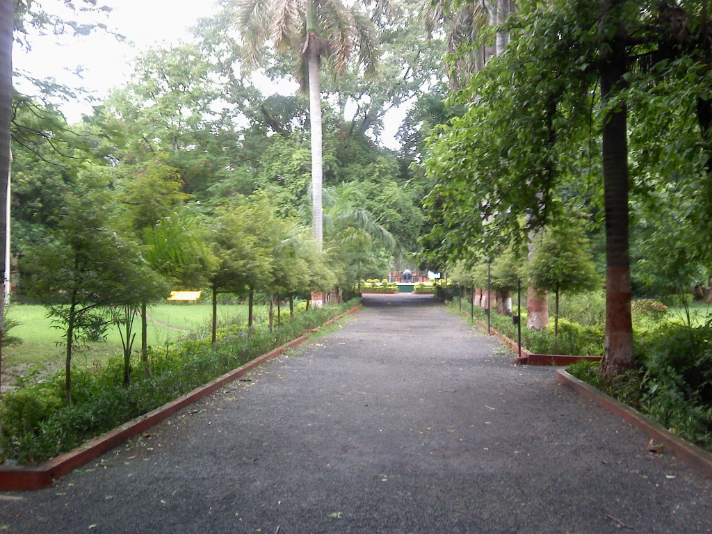 A View Of Maharaj Bagh 