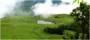 Chembra Peak, Kalpetta, Wayanad