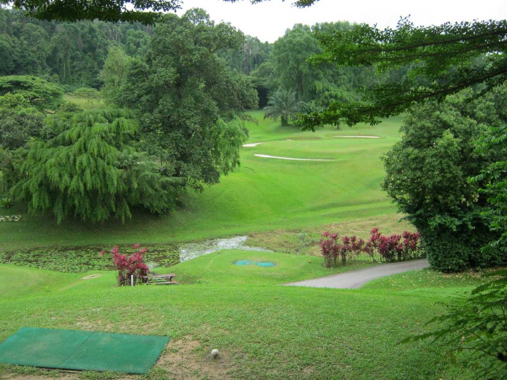 Green Fairways