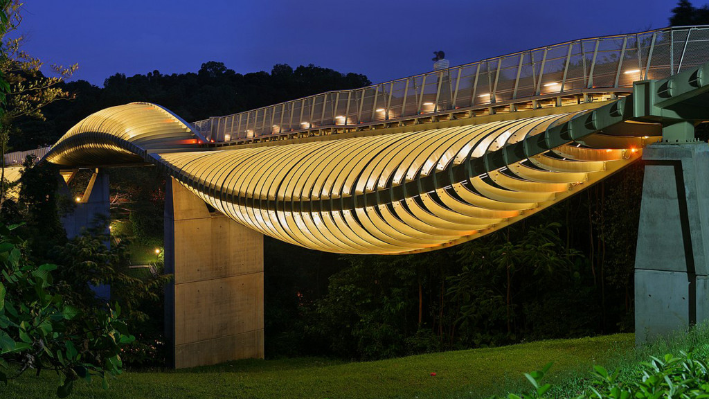 Henderson Waves Bridge