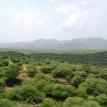 Porbandar Sightseeing