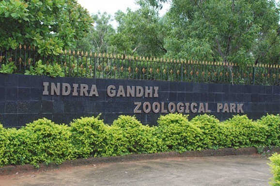 Indira Gandhi Zoological Park, Visakhapatnam