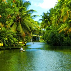 Popular Destinations Kerala