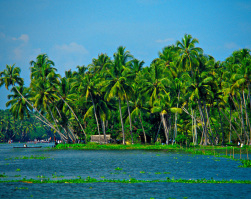 Backwaters near Alappuzha (Alleppey), Kerala, India