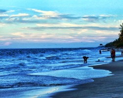 Andhakaranazhi Beach