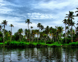 Kuttanad Backwaters