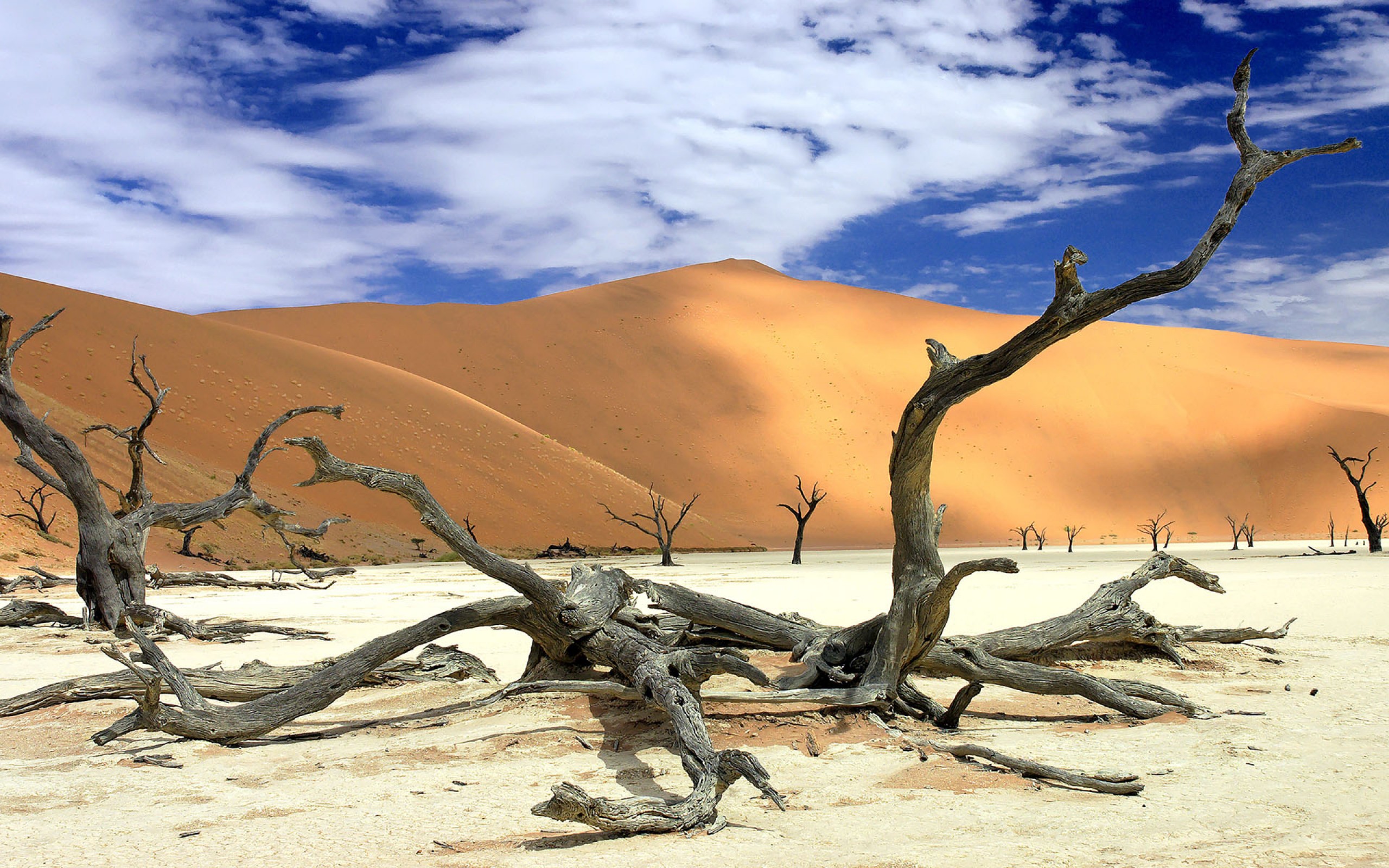 Desert National Park