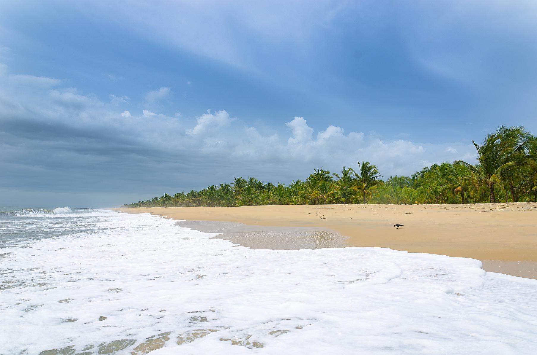 5 Beaches Weekend Getaways From Kochi