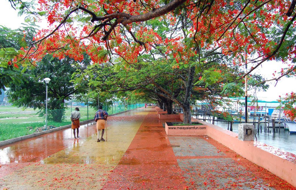 Shopping In Kochi